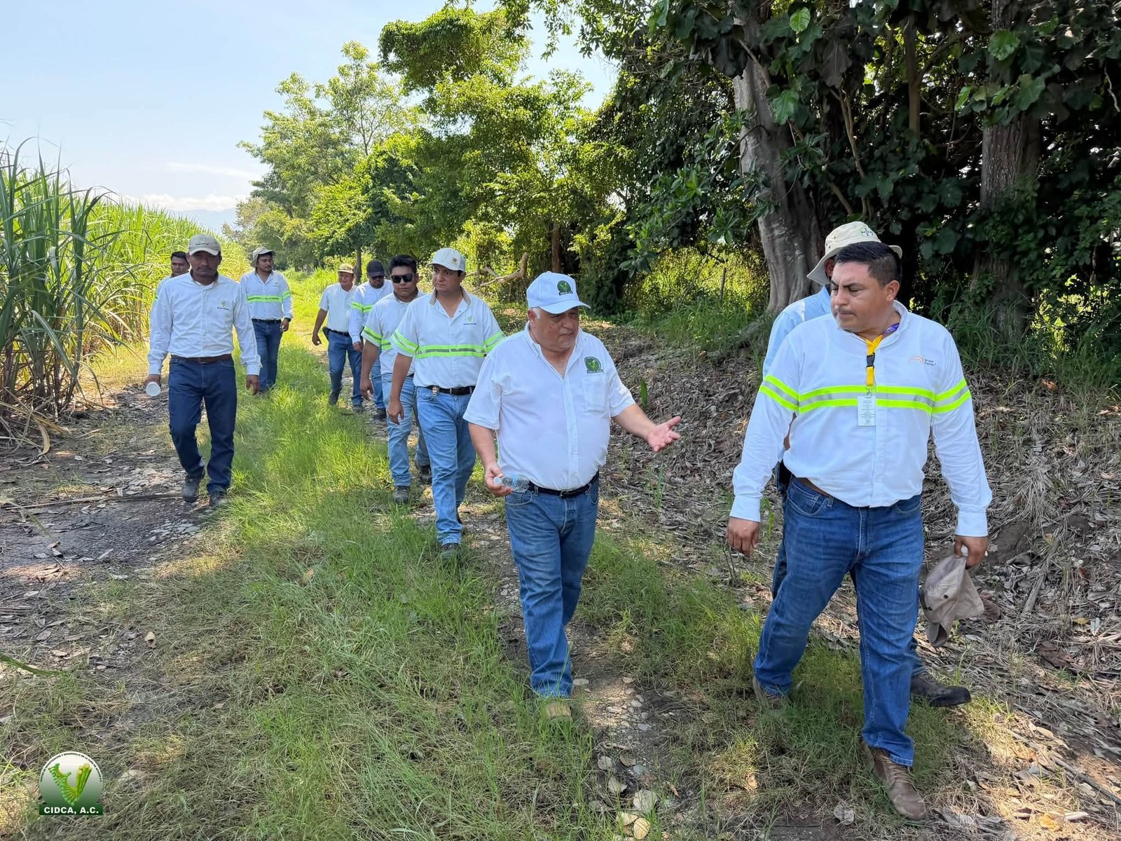 Imagen noticia
