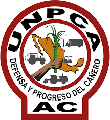 Logo 3